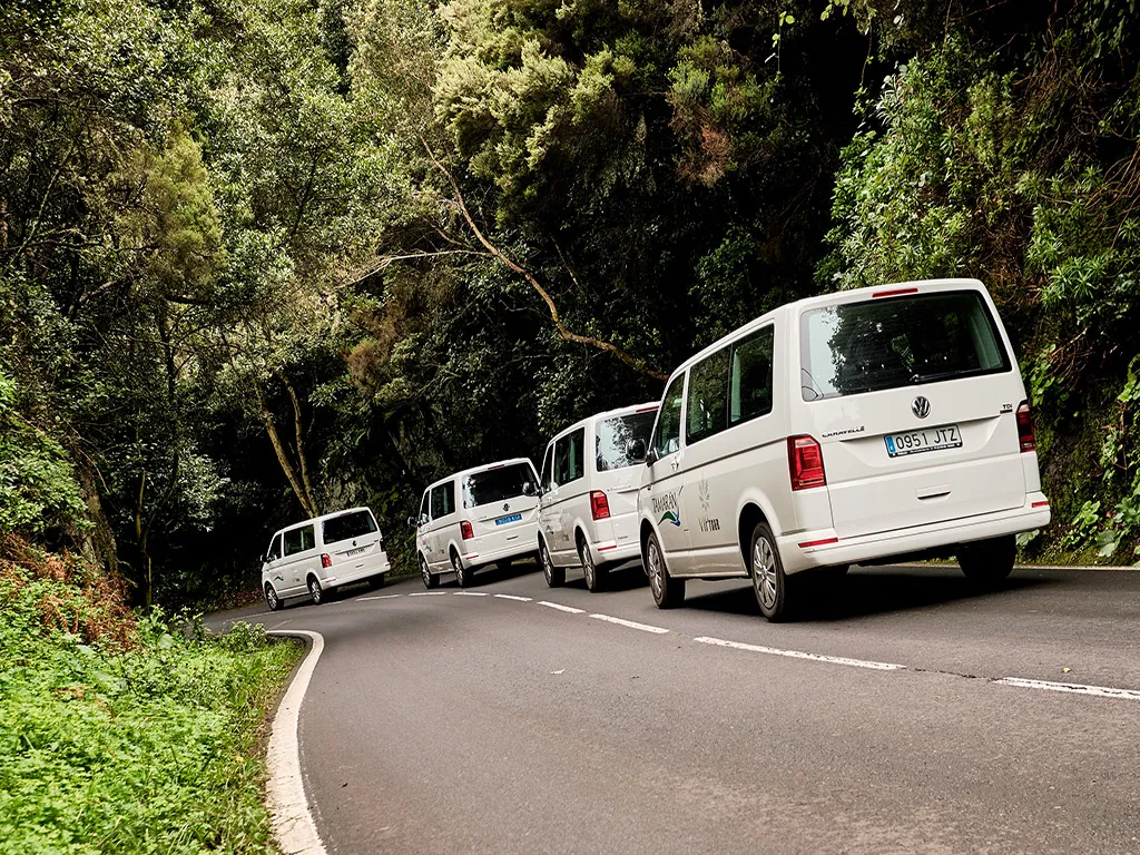 vip-tour-minivan-tenerife-sunshine-rent (4)