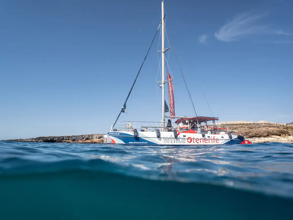white-tenerife-sunshine-rent (2)