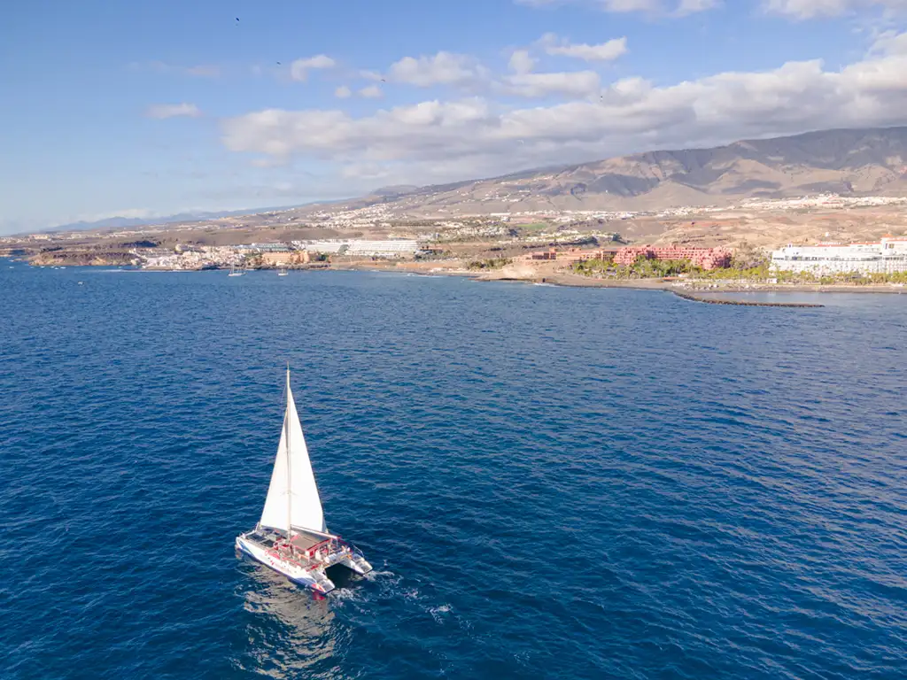 white-tenerife-sunshine-rent (6)