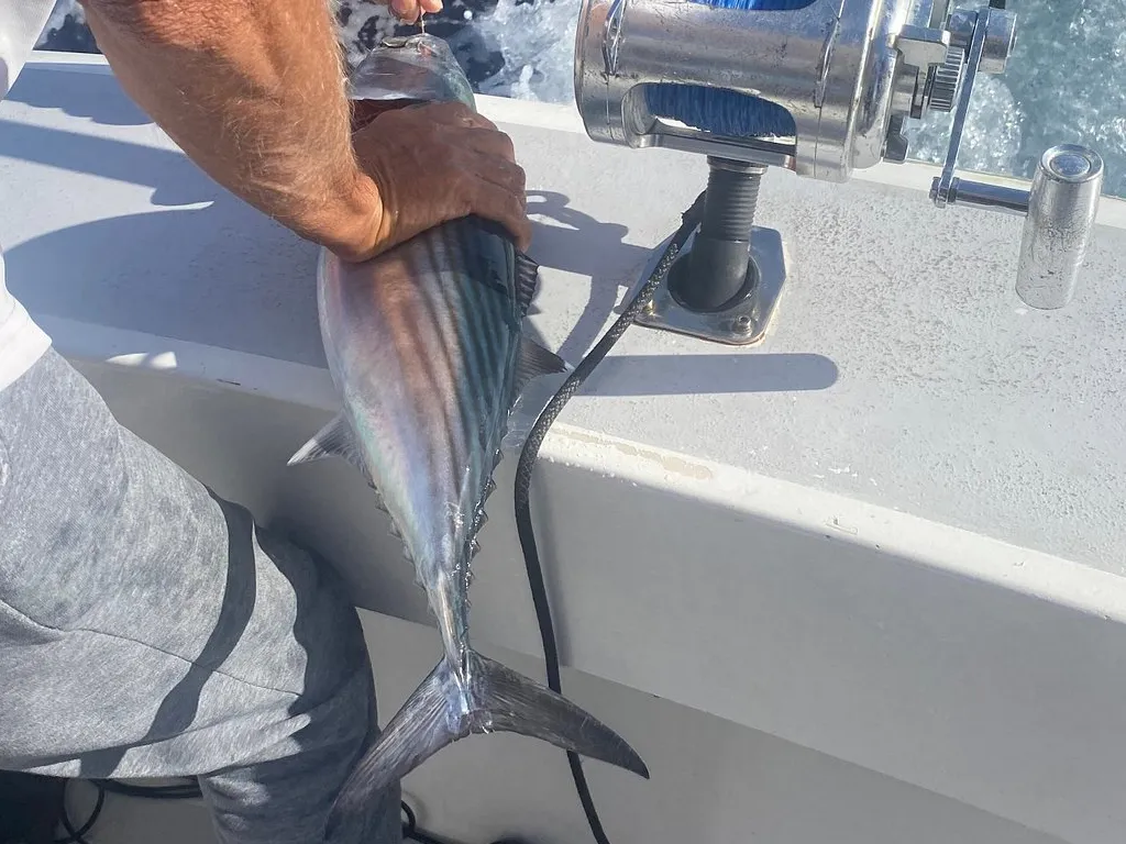 yate-sofia-pesca-tenerife-sunshine-rent (2)