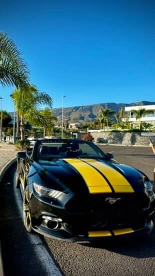 Mustang-Teide-