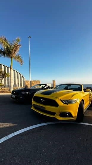 Mustang-Teide-1